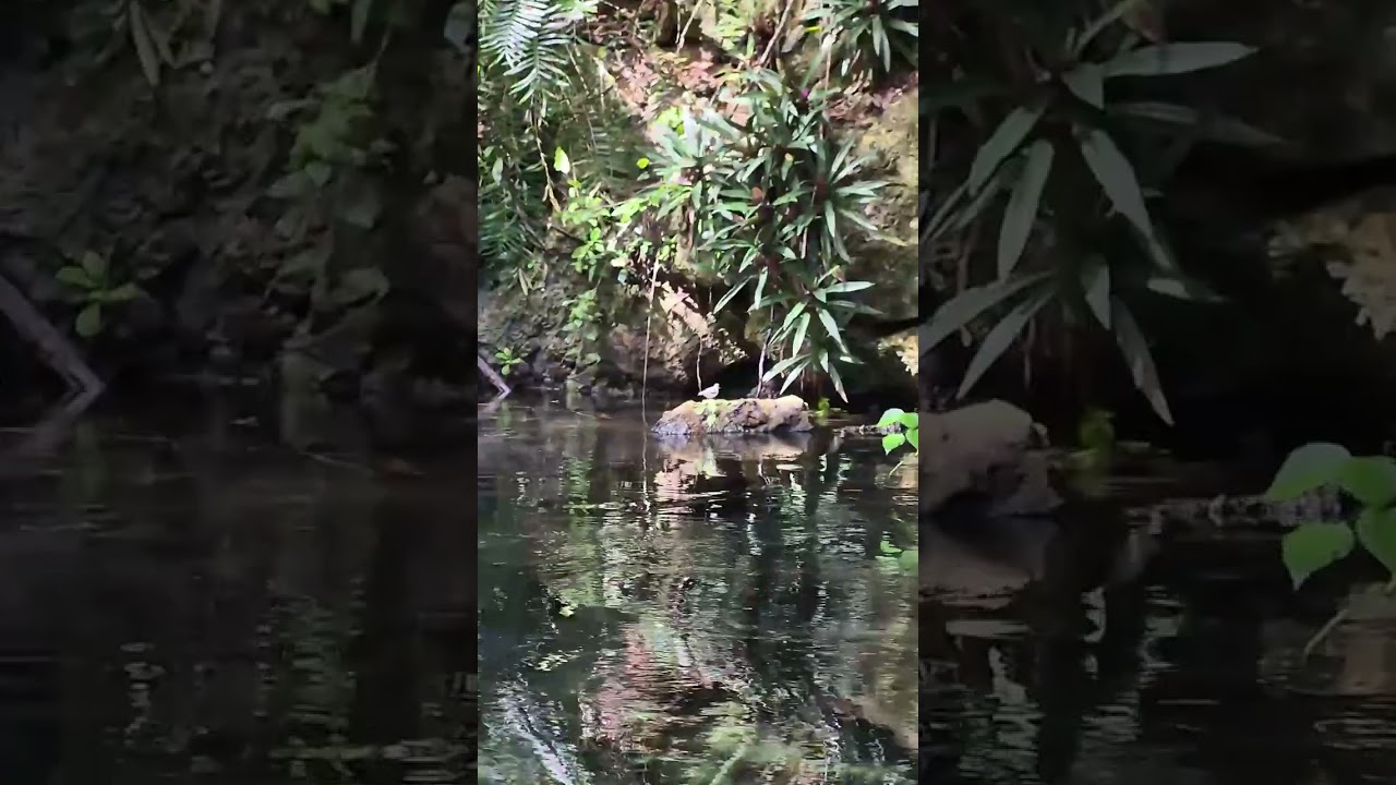 RECORRIDO RIO CANO FRIO RINCON LAS GALERAS SAMANA