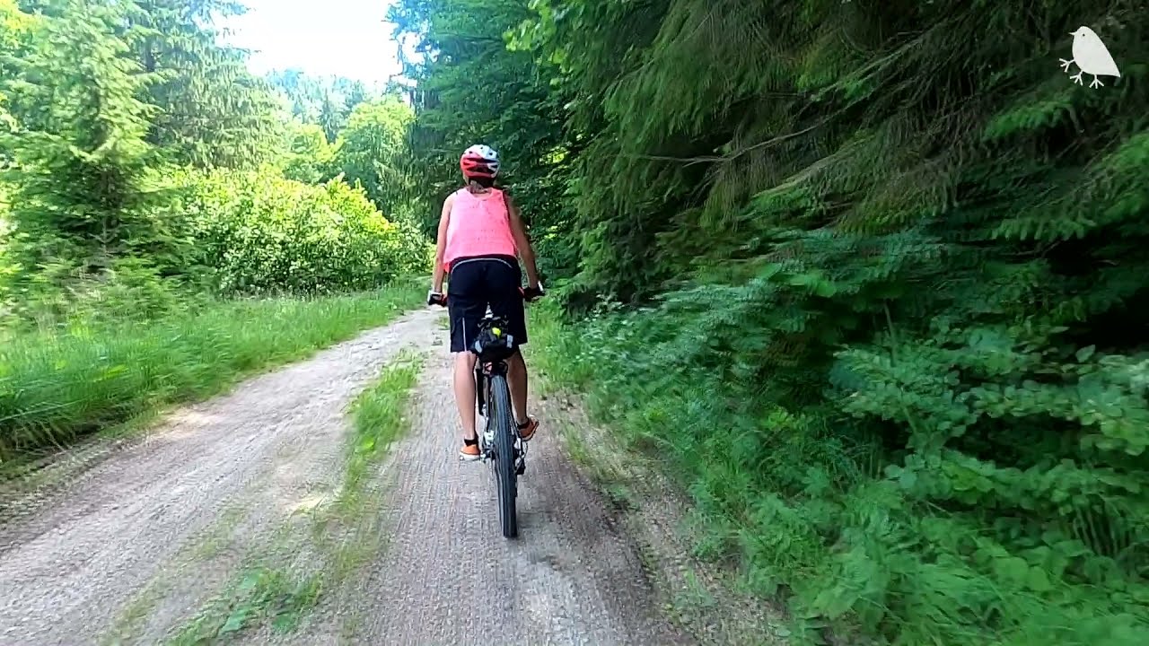 KADETADE - Kráľova studňa, Krížna, Donovaly na bicykli