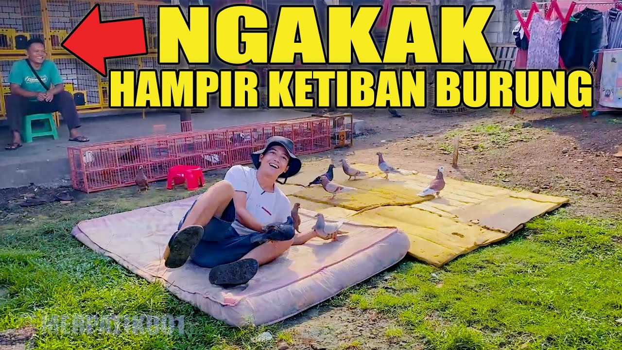 HIBURAN SORE DIRUMAH SAJA