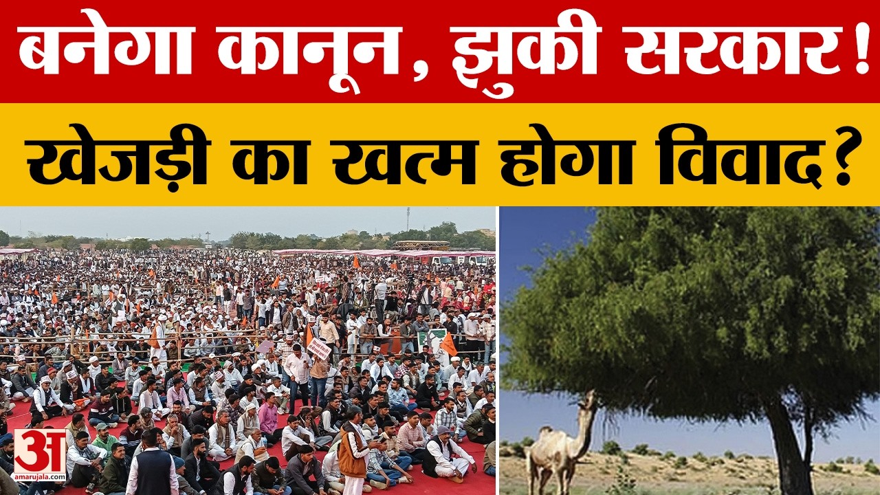 Khejrli Bachao Movement:  बनेगा 'खेजड़ी बचाओ कानून'! खत्म हो सकता है अनशन | Amar Ujala