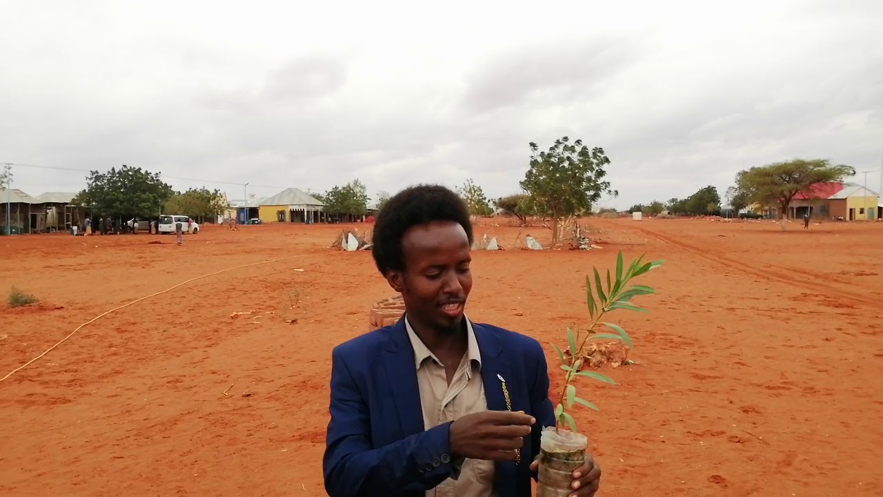 barnaamijka dhiraynta daarusalaam iyo eng. barkhad
