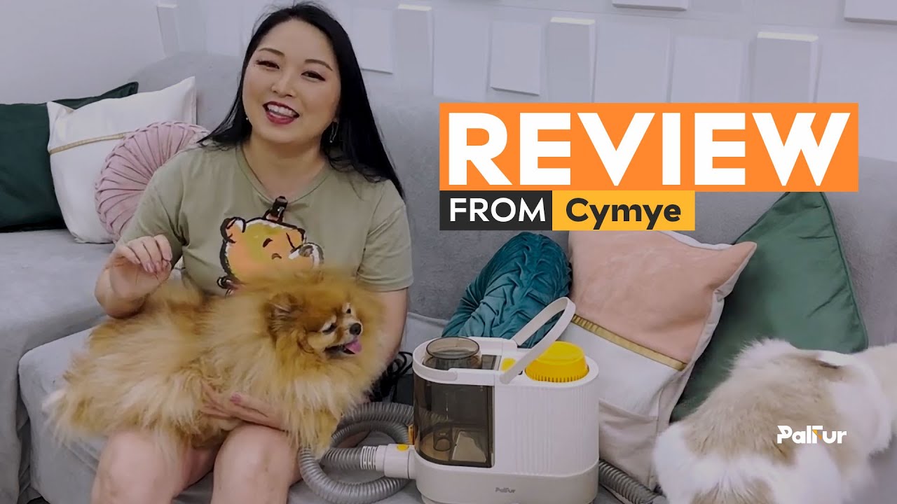 Best pet grooming kit review of 2023  | cymye grooming her dog and how PalFur works?
