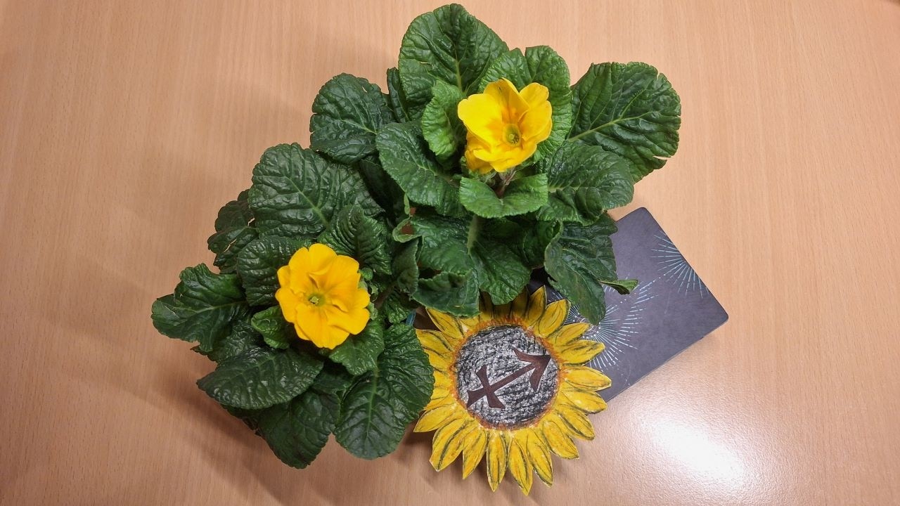 🌻💖 Střelec ♐ březen 2026 - Nastupujete cestu velkých životních změn 🔑🌼🌺🙏💖🌻