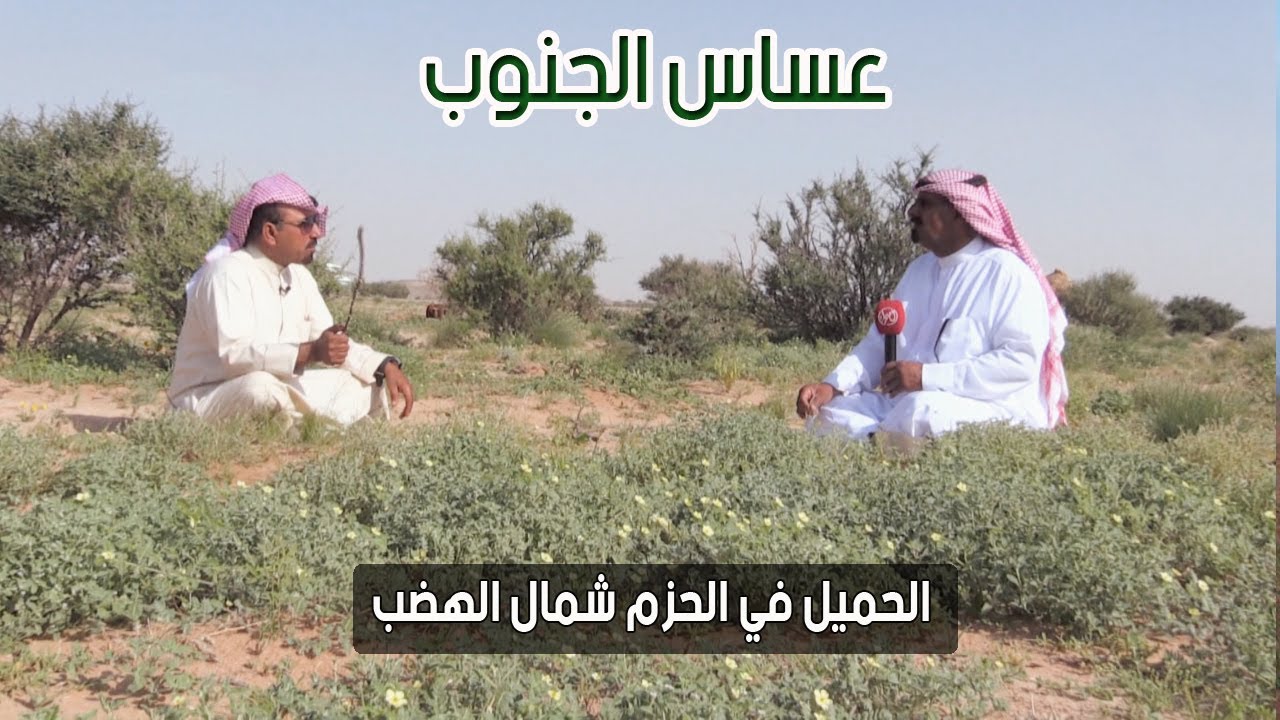 عساس الجنوب | الحميـل في الحـزم شمال الهضـــب 26-7-1437 هـ