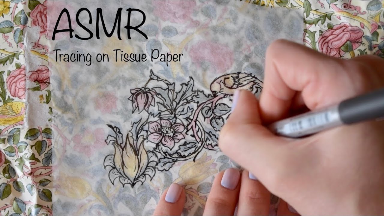 ASMR Quiet Sketching | Tracing on Tissue Paper (No Talking)