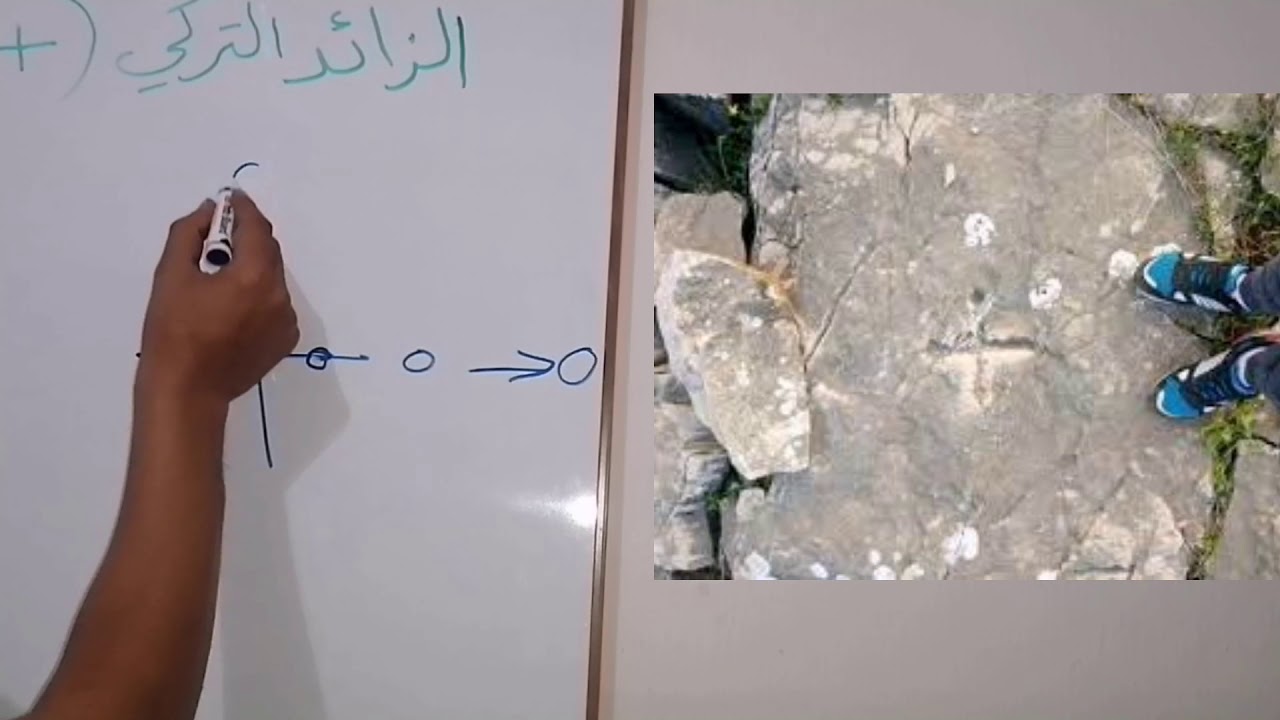 الزائد التركي +