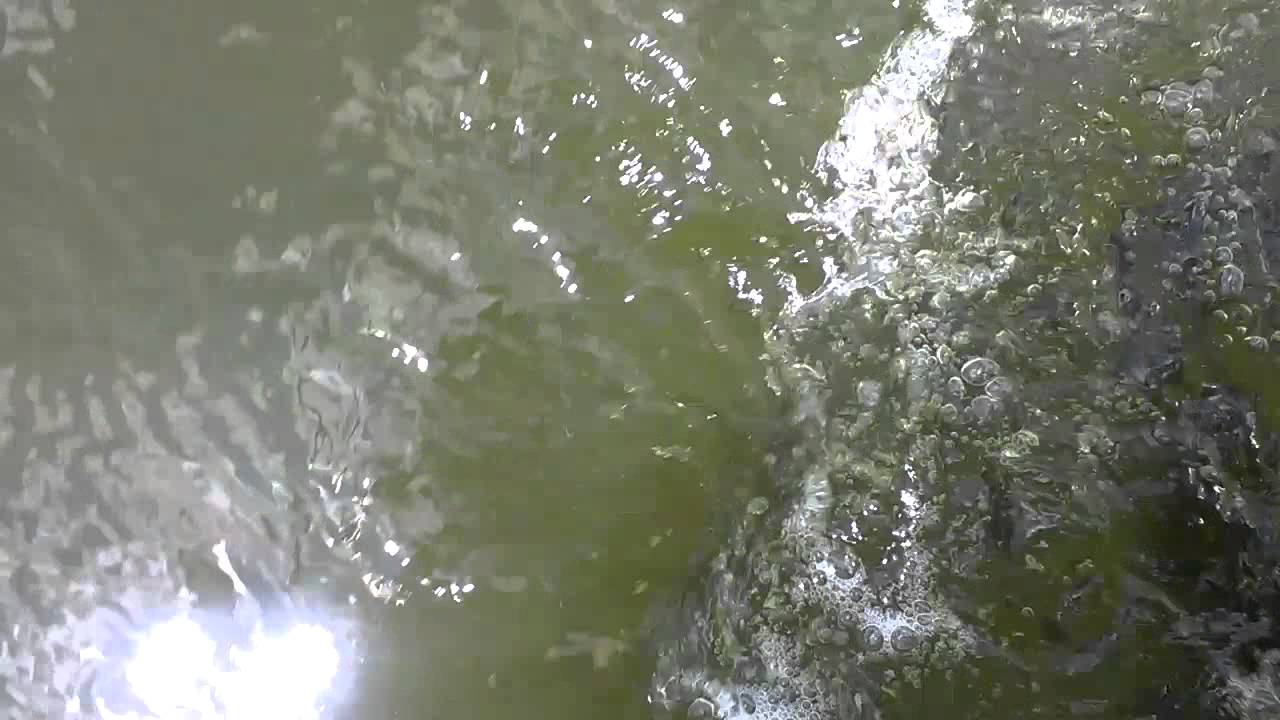 Silnik MINN KOTA TRAXXIS 55 LBS DIGITAL MAXIMIZER