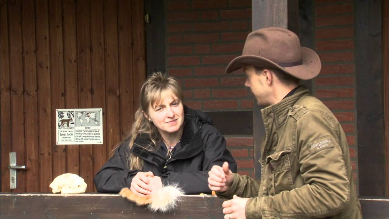 DER LUCHS im Wildpark Schwarze Berge