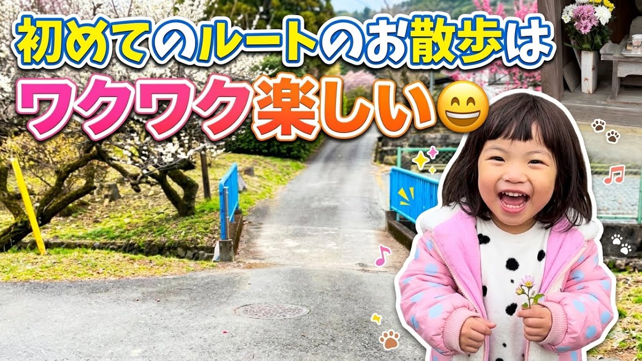 こっそりチョコ😅ケイカちゃん薬剤師さん😅初めての道はワクワク😊