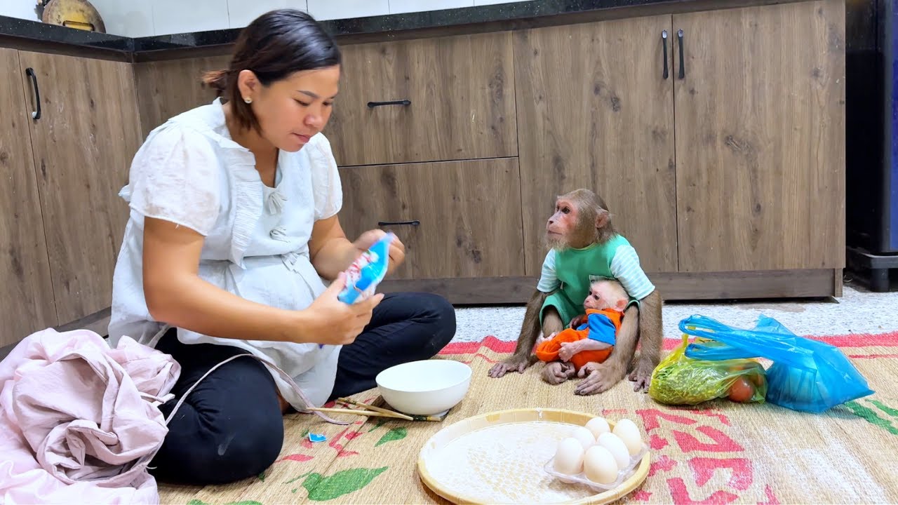 Can CUTIS Become A Baker Watch His Adorable & Funny Lesson!