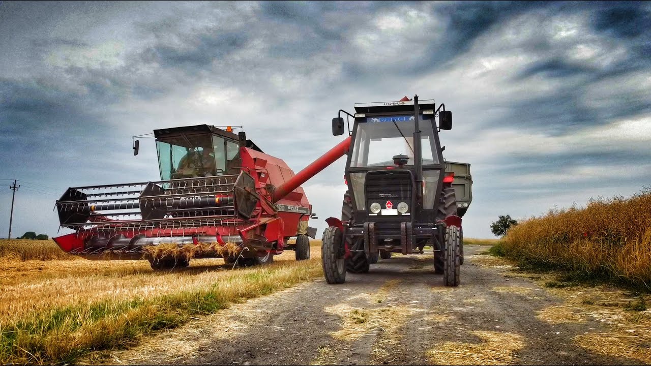 Żniwa 2022