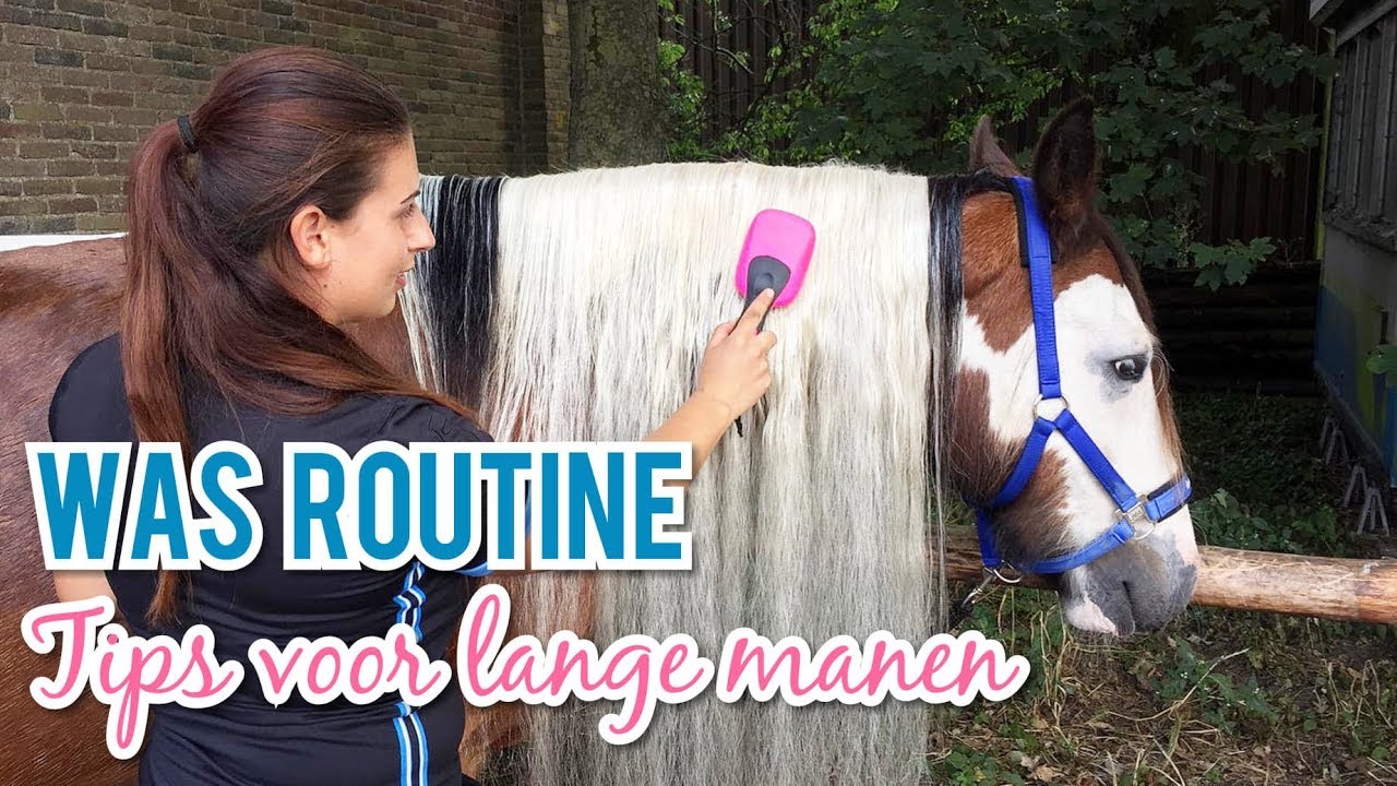 ZO KRIJGT JOUW PONY LANGE MANEN & STAART!