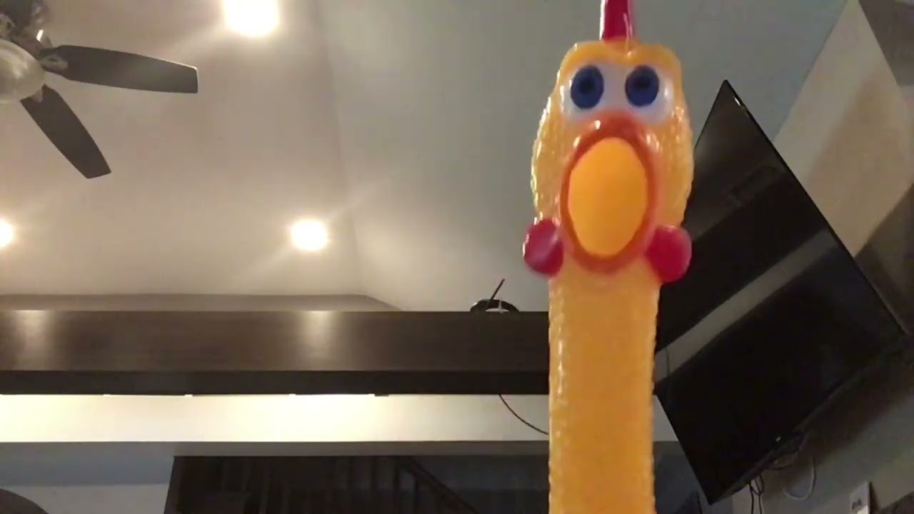 Rubber chicken song