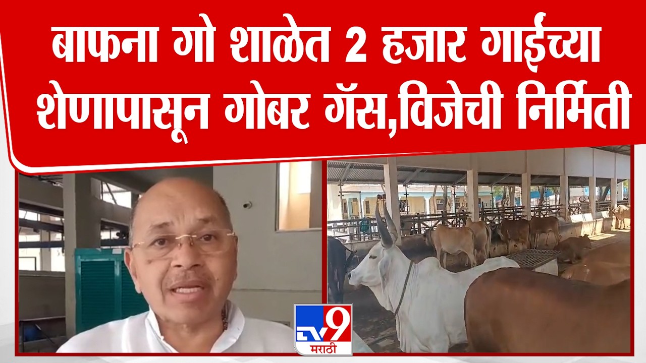 Jalgaon | बाफना गो शाळेत 2 हजार गाईंच्या शेणापासून गोबर गॅस,विजेची निर्मिती