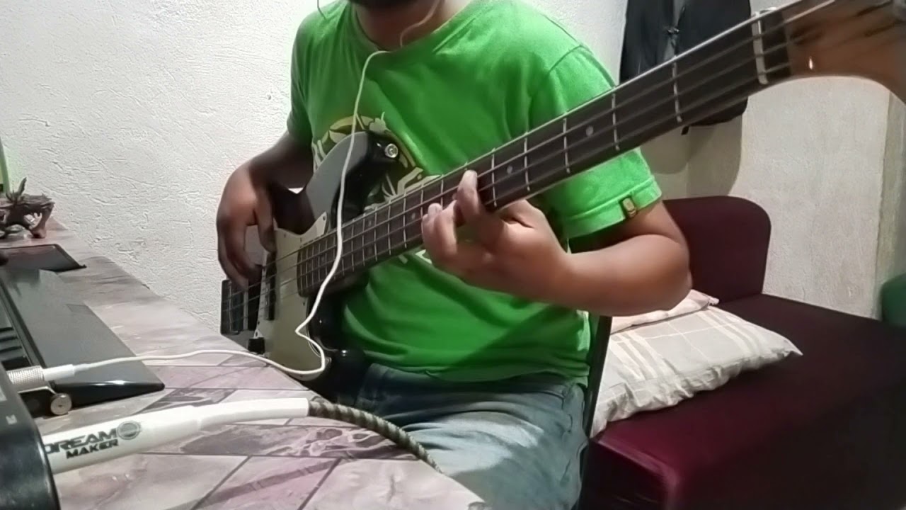 Nobody's Home by Avril Lavigne BASS COVER