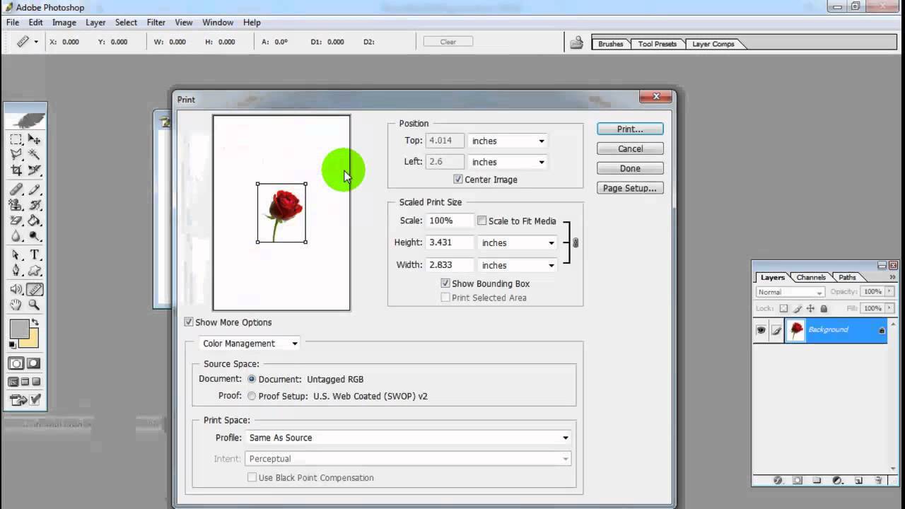 Print Preview Print - Software - Photoshop tutorial
