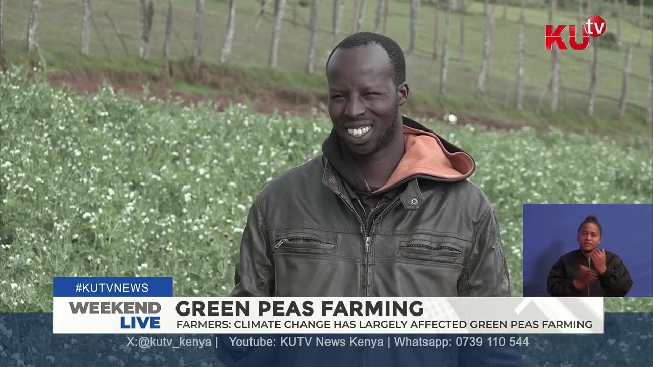 How climate change has affected ‘minji’ farming