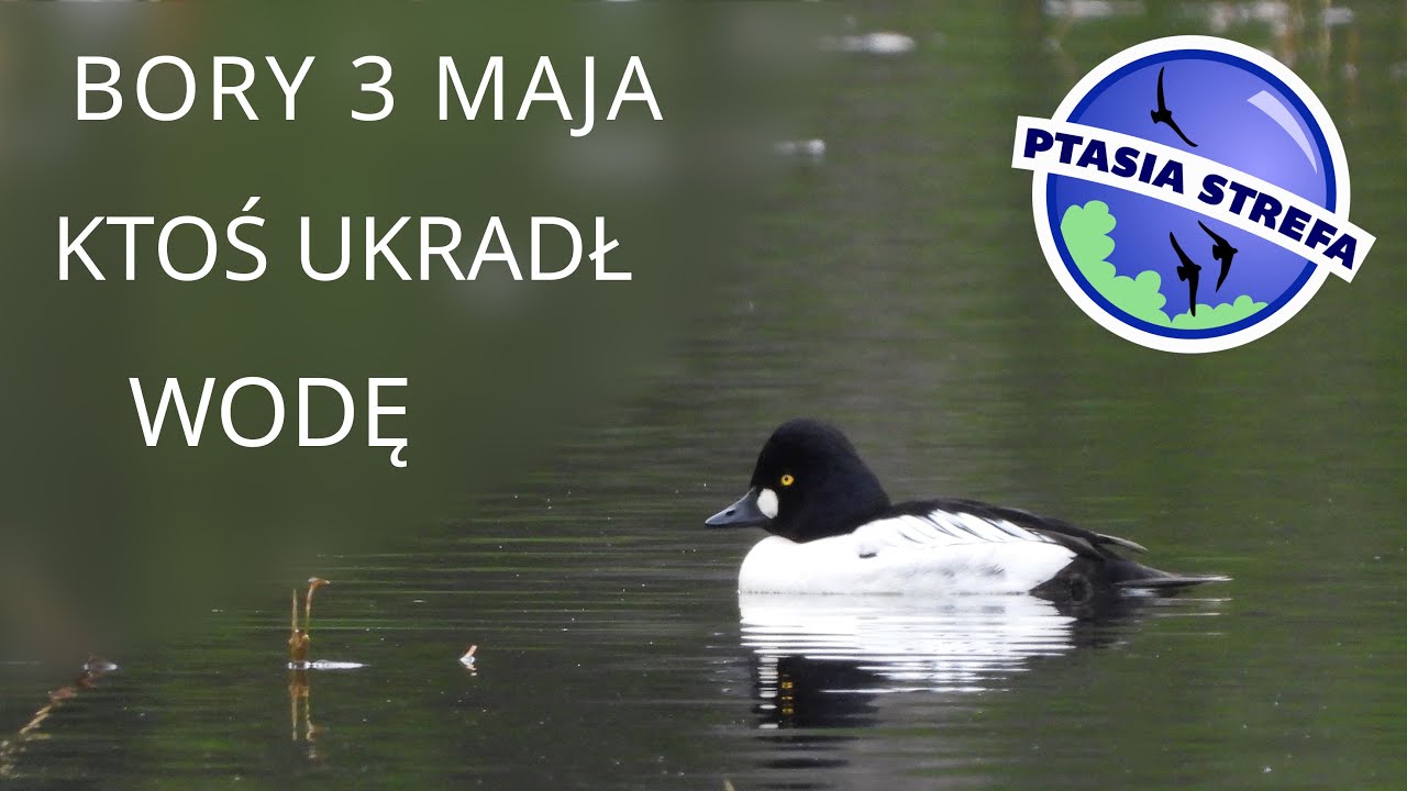 Bory 3 maja. Ktoś ukradł wodę.
