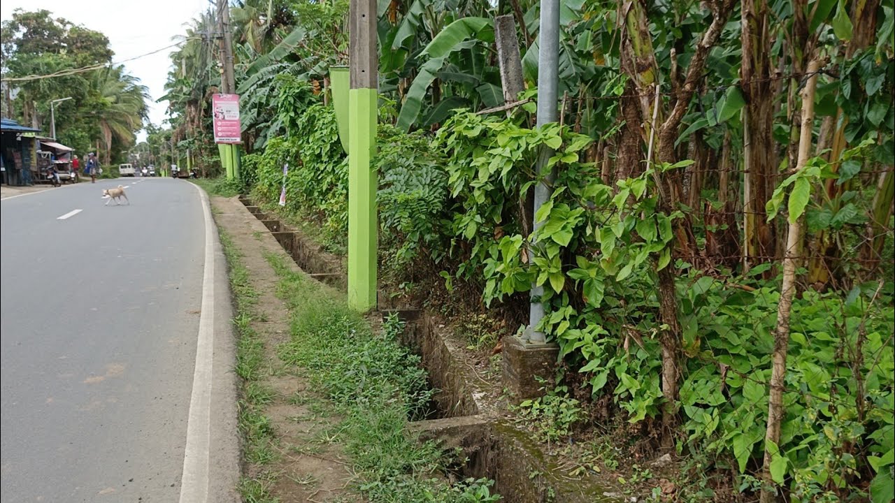 (P# 962) 8.7 hectares Land tabi ng kalsada sa Bay, Laguna for sale @ 2,500/sqm