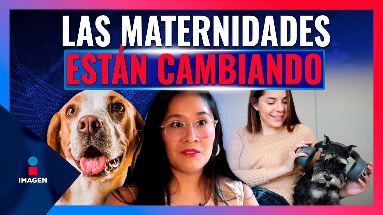 Perrhijos y gathijos: Nuevas formas de ejercer la maternidad | Noticias con Francisco Zea