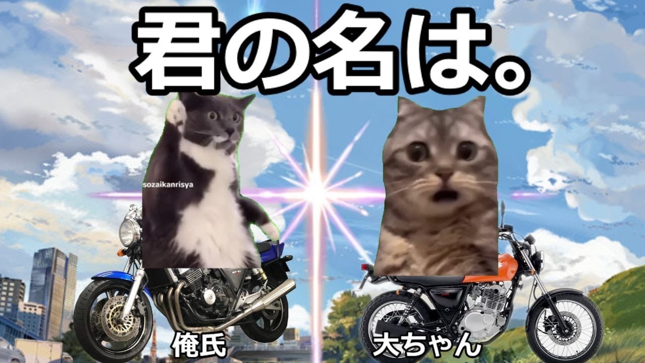 【猫ミーム】「君の名は。」占い師編