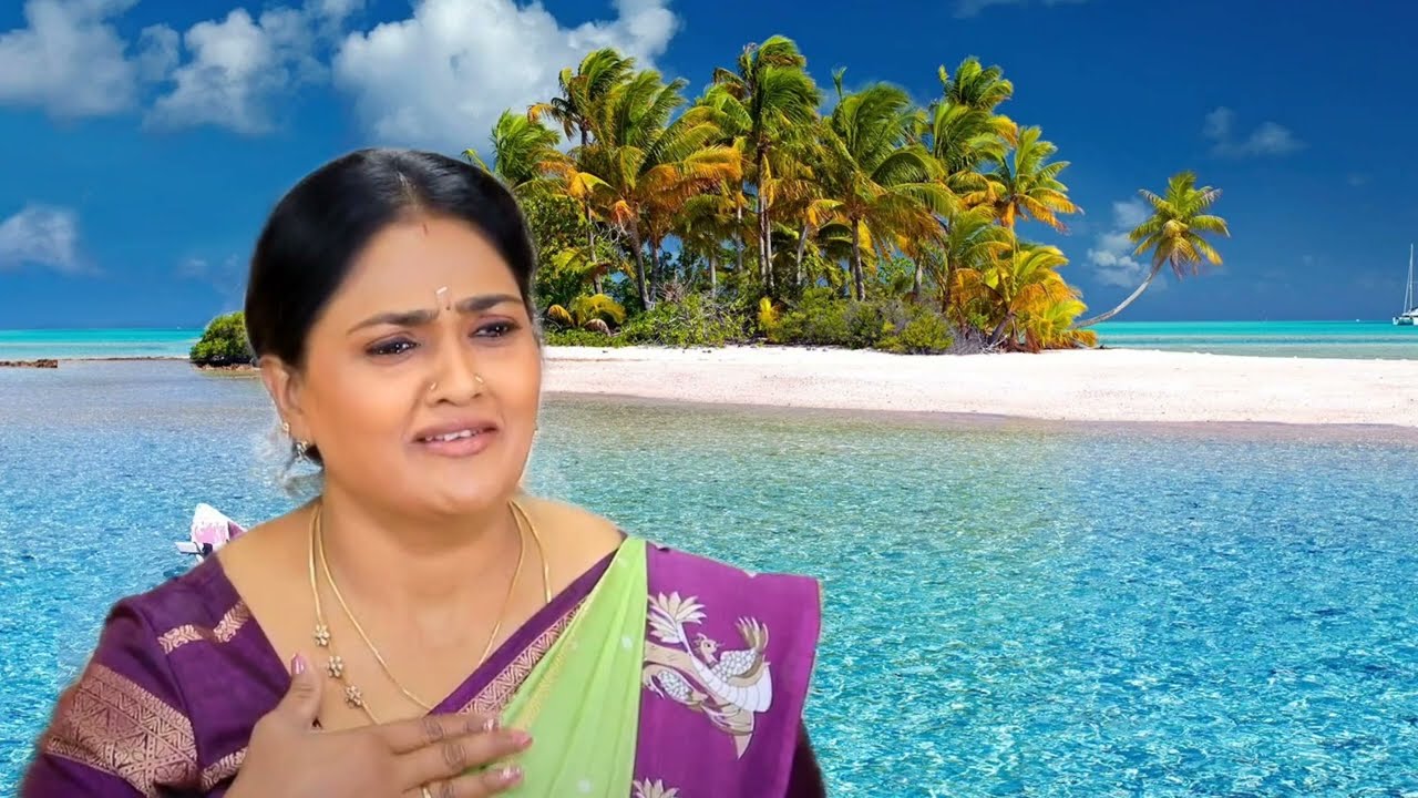 மீனா எடுத்த அதிரடியான முடிவு | Pandianstore serial upcoming episode review / 28th Jan 2026
