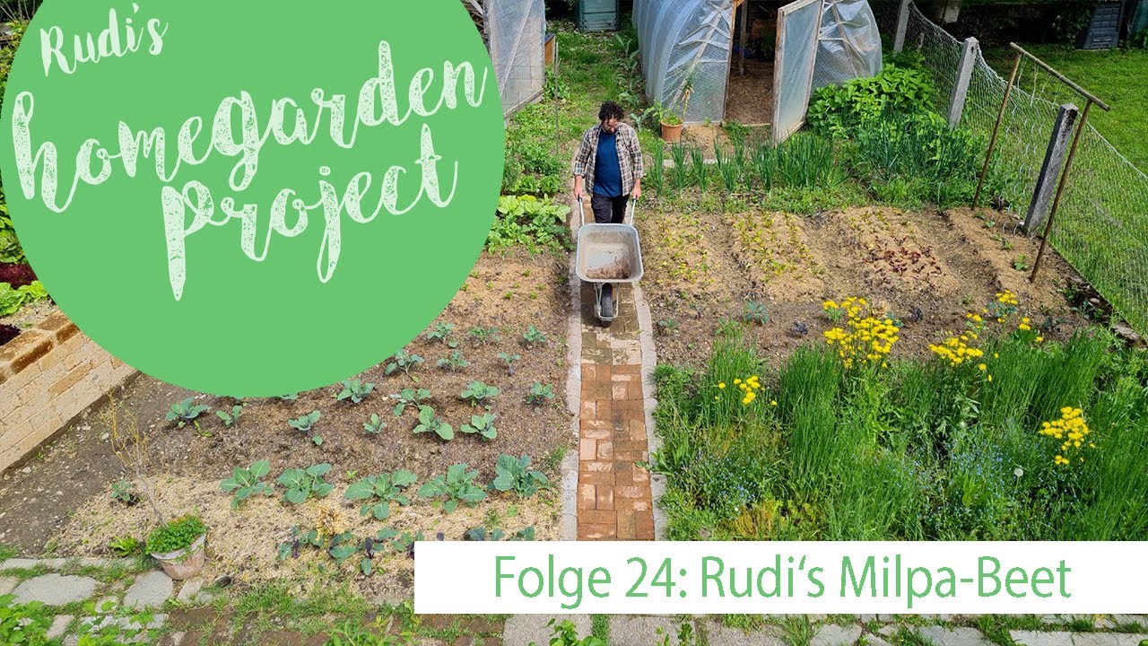 Das Milpa Beet - Folge 24 - Rudi's Anleitung für eine Mischkultur im Garten