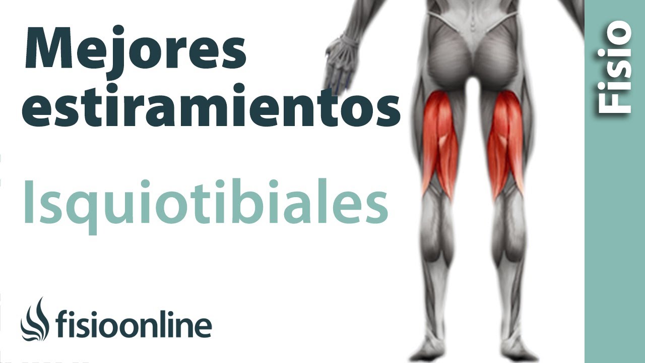 Formas fundamentales de estirar los isquiotibiales