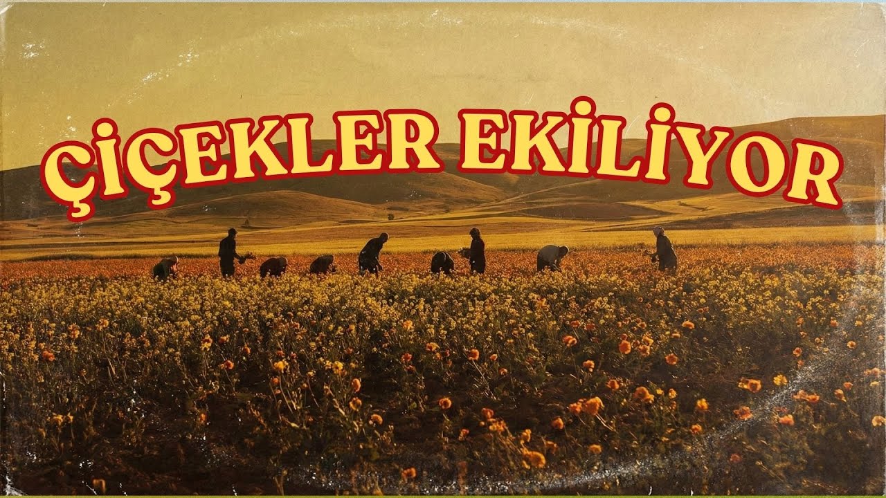 Çiçekler Ekiliyor | Flowers Are Being Planted - Anatolian Psychedelic Funk (AI Re-imagined)