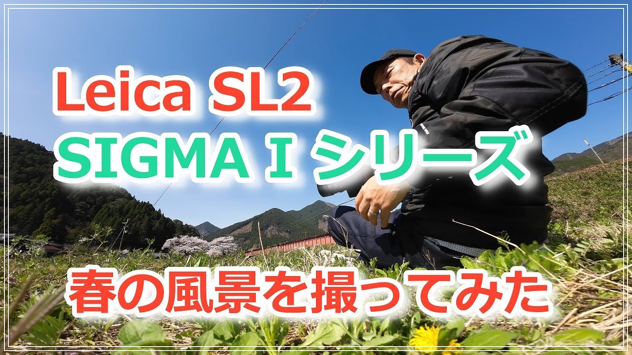 Leica SL2 JPEGで撮ってみた 桜 と ミツマタ