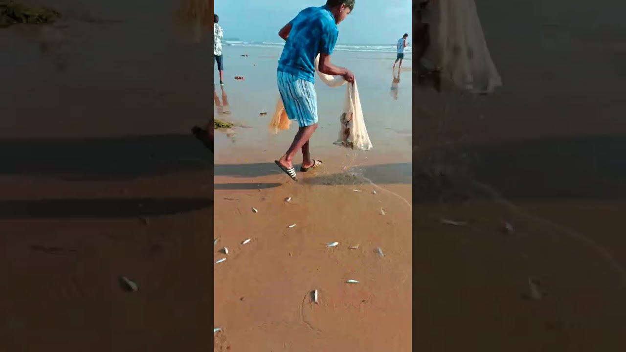 cast net fishing at Baga beach.🐟🏖️🔥