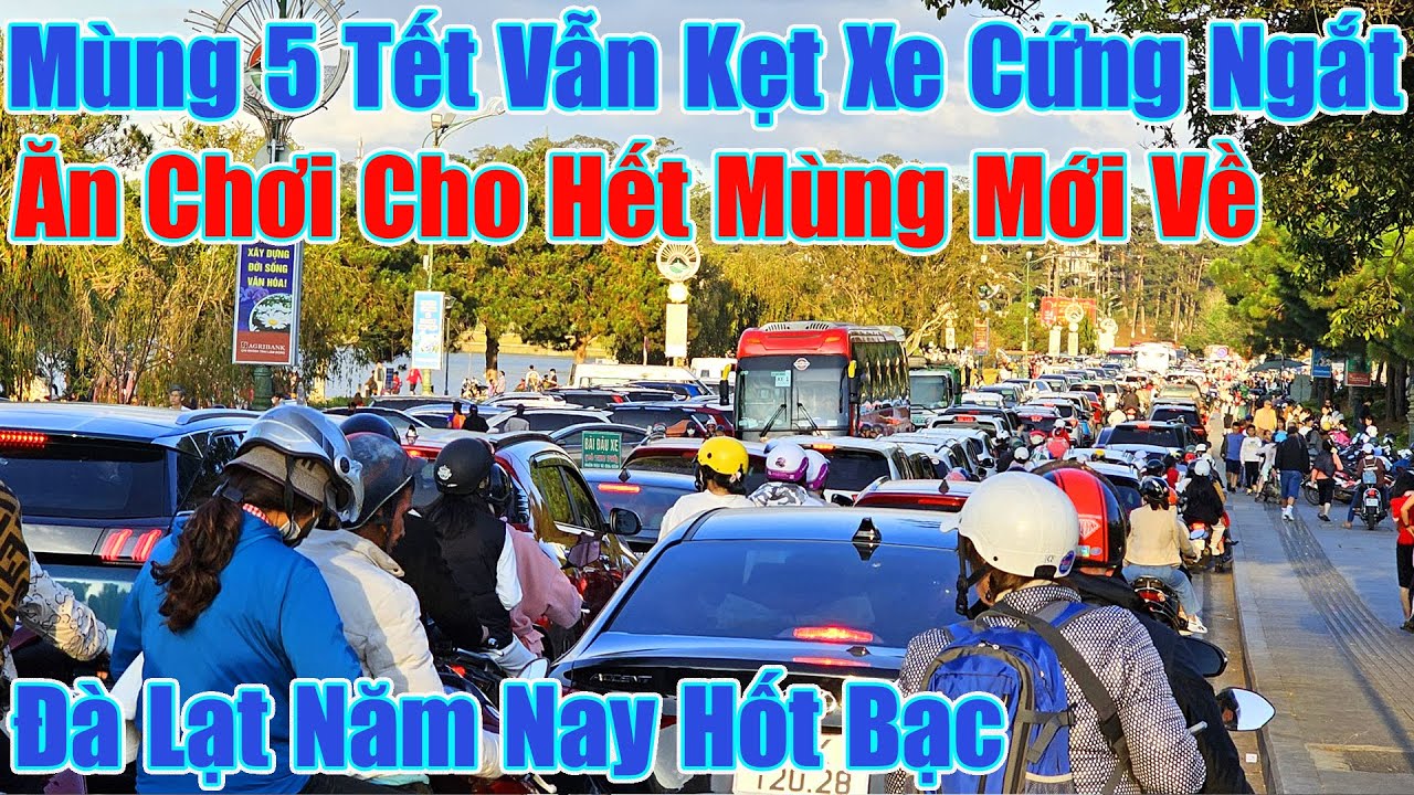 Mùng 5 Tết Vẫn Kẹt Cứng Đà Lạt Năm Nay Hốt Bạc Đến Hết Mùng