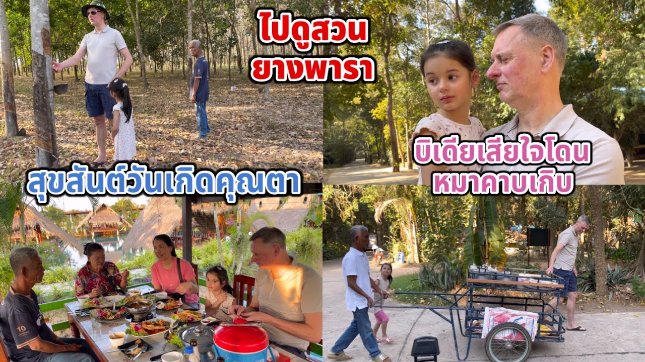 ไปวัด ดูสวนยาง บิเดียเสียใจโดนหมาคาบเกิบ เลี้ยงข้าววันเกิดตา ร้านอาหารอร่อย บรรยากาศดีมากค่ะ