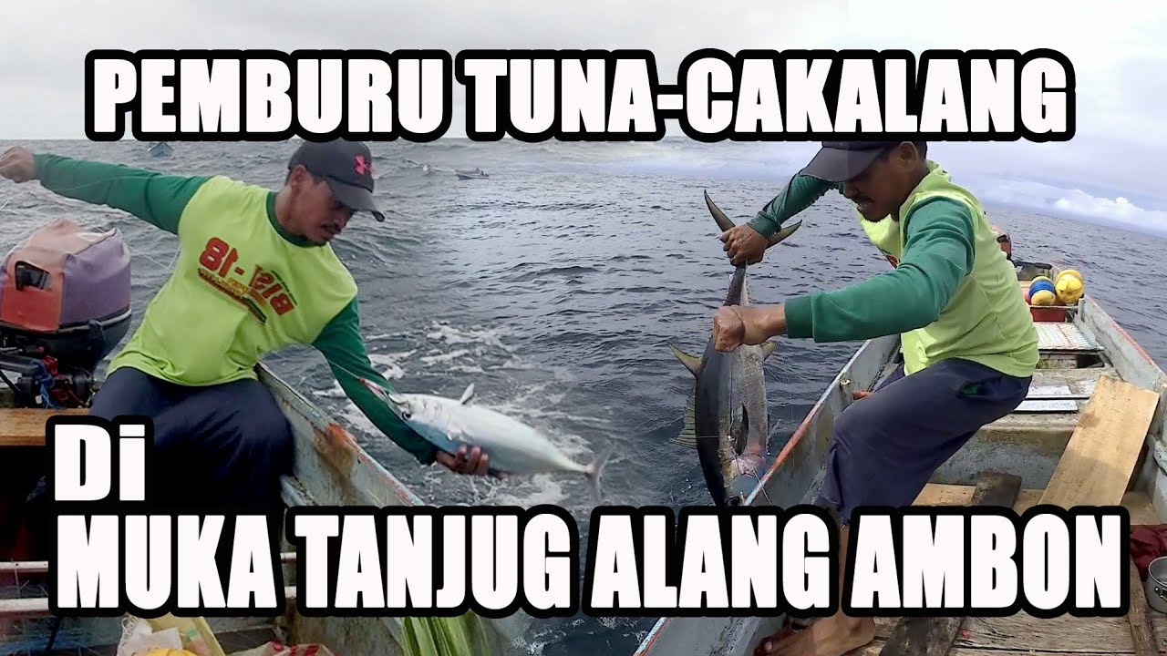 Mancing Ikan Tuna dan Cakalang di Muka Tanjung Allang - Pintu Kota Ambon