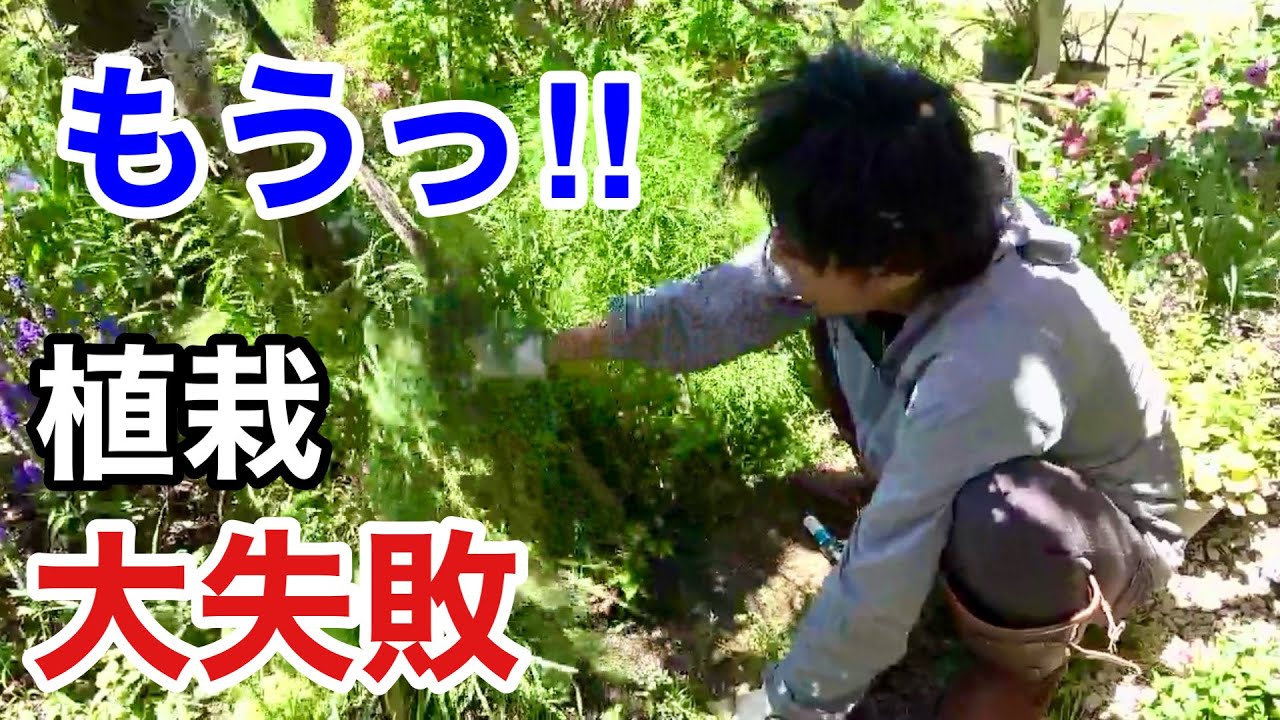 気に入らないのでもう抜きます。【園芸超人カーメン君】