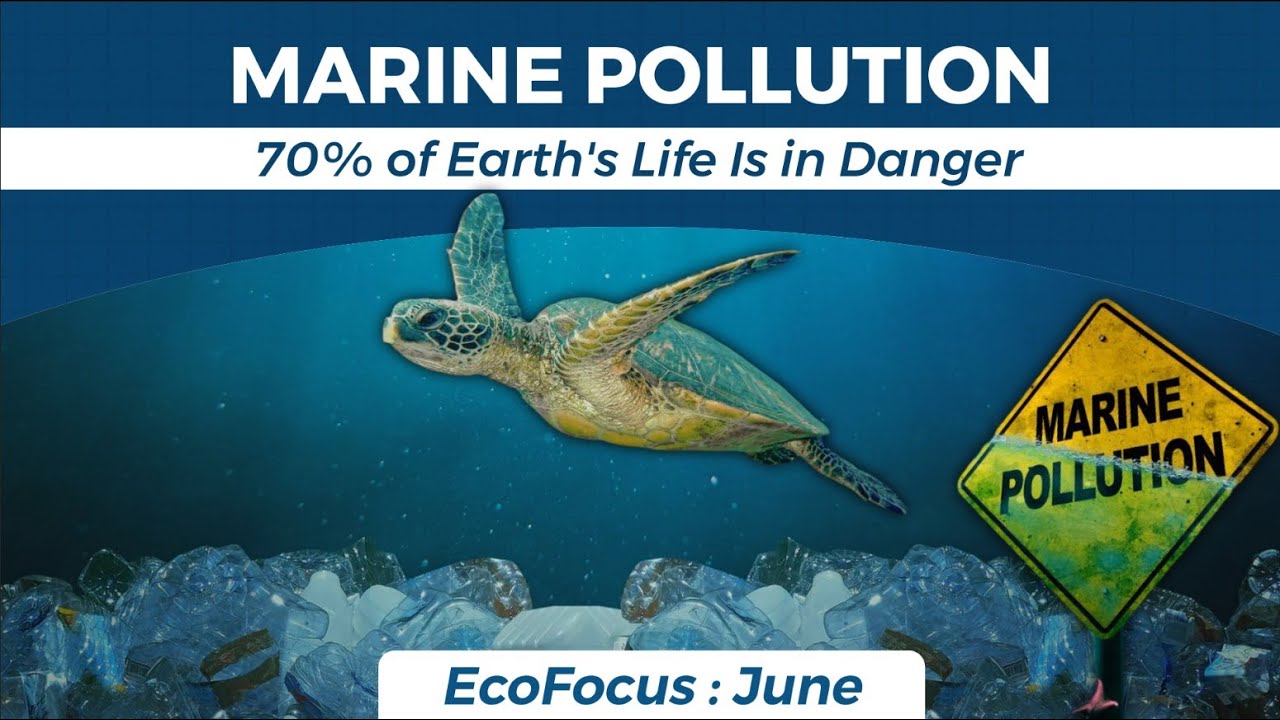 Ocean Emergency: Marine Pollution Reaches Critical Level