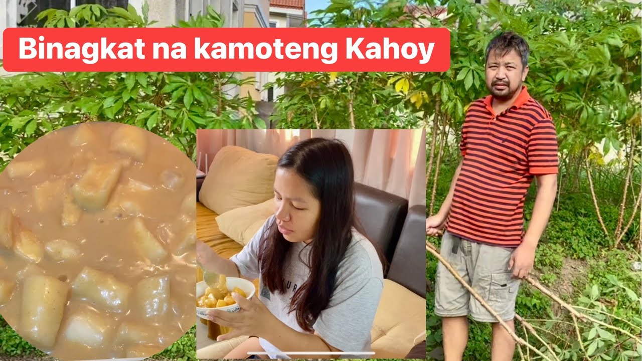 Naghukay at Nagluto ng Binagkat na Kamoteng Kahoy | May Vanilla At Cinnamon