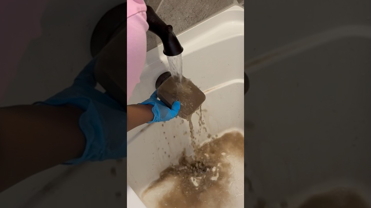 Deep Cleaning my Shark Vacuum                  