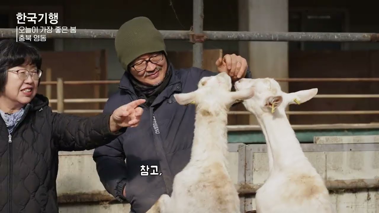 한국기행