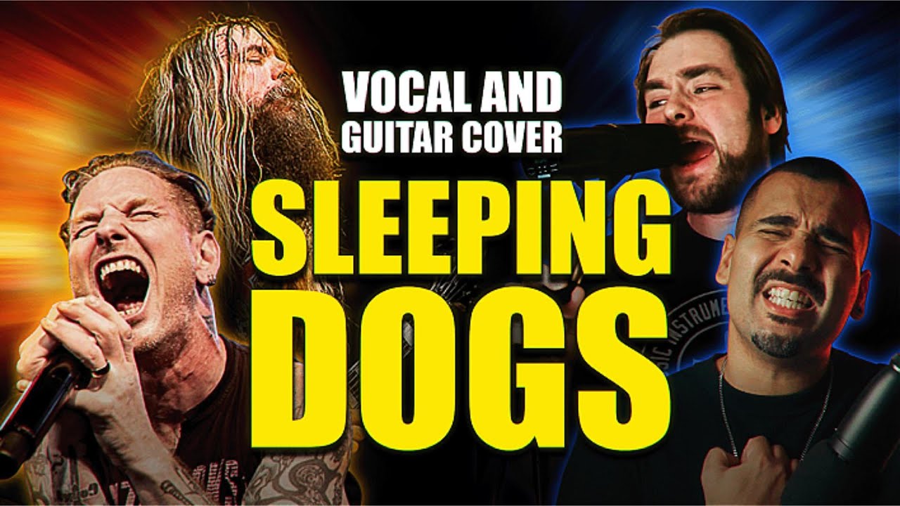 The Dynamic Vocal Duo! | Sleeping Dogs - Guitar and Vocal Cover feat. ⁨@Marconogueirajr⁩
