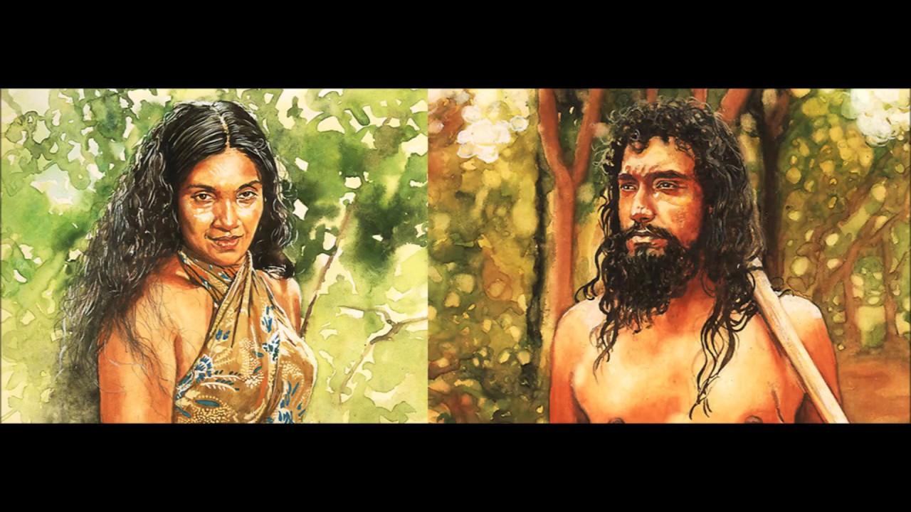 වන වදුලේ වසන්තය තේමා ගීය Wana Wadule Wasanthya Theme Song