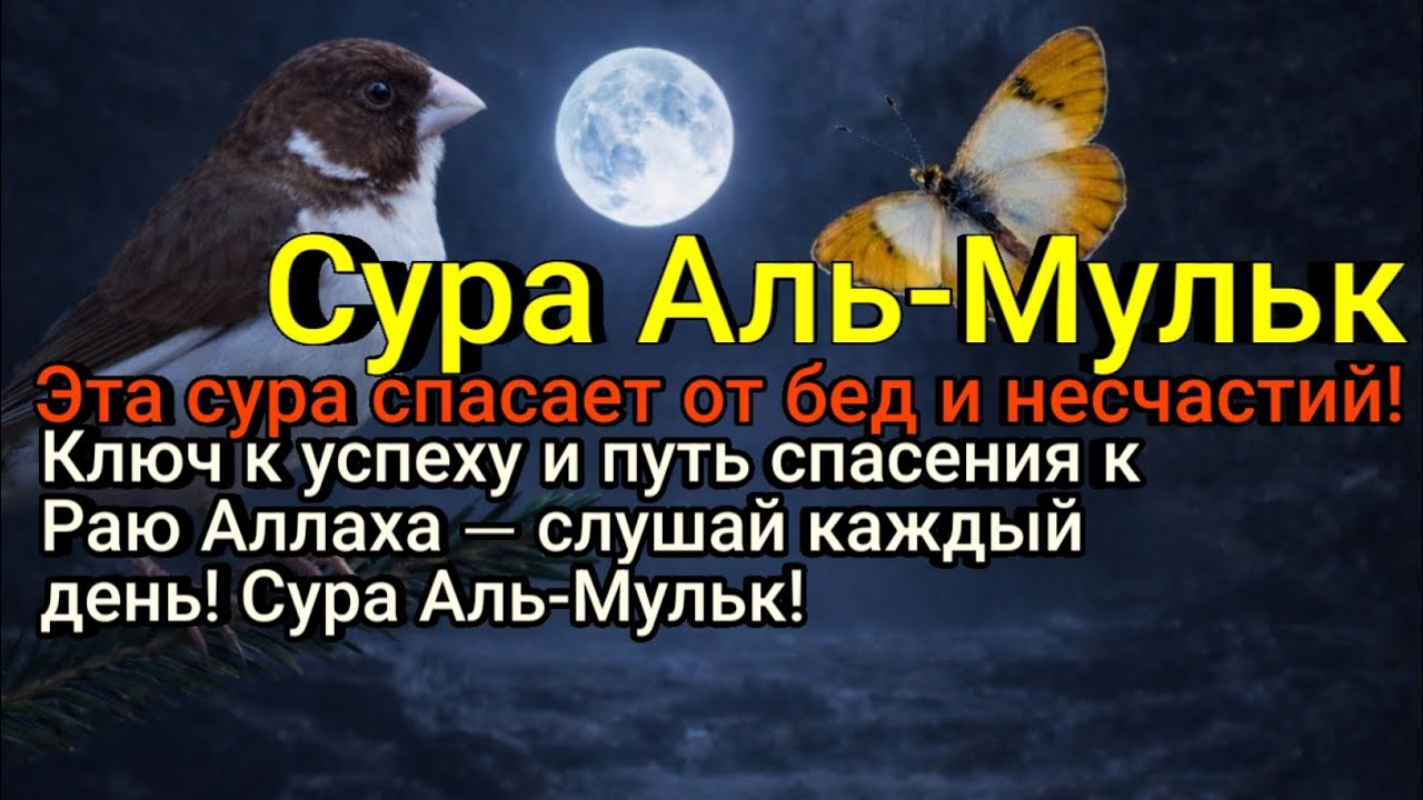Ключ к успеху и защите семьи от любых форм страданий — слушай!
