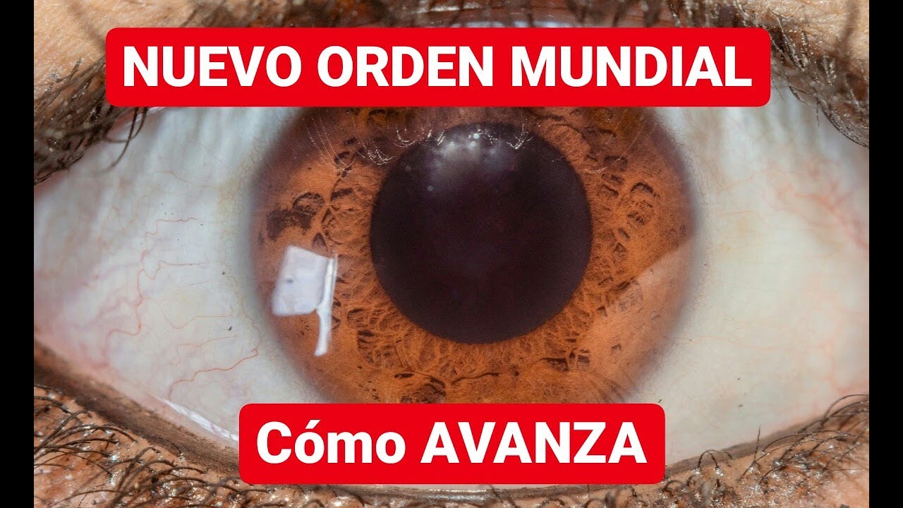 En que consiste el Nuevo Orden Mundial 2030 🛑 Gobierno Mundial