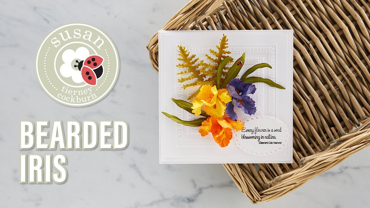 Spellbinders Bearded Iris by Susan Tierney-Cockburn How-To