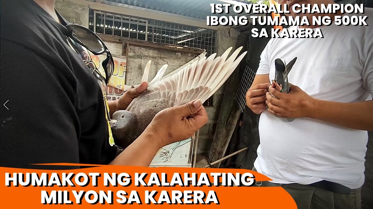 MAGALING NA FANCIER SA TARLAC