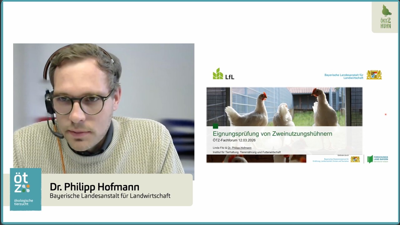 ÖTZ-Fachforum 2026 | Abschlussbericht: Eignungsprüfung von Zweinutzungshühnern