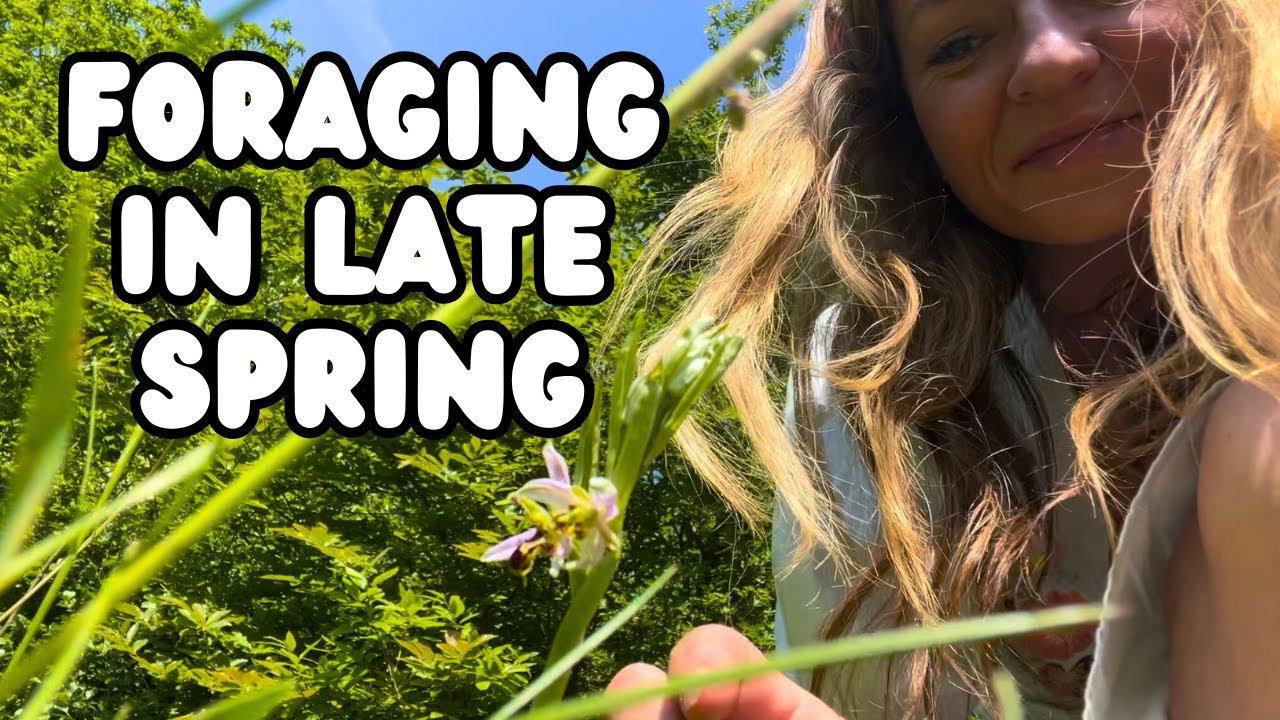 Late Spring Foraging | Wild Food, Rare Flowers + Deadly Plants!