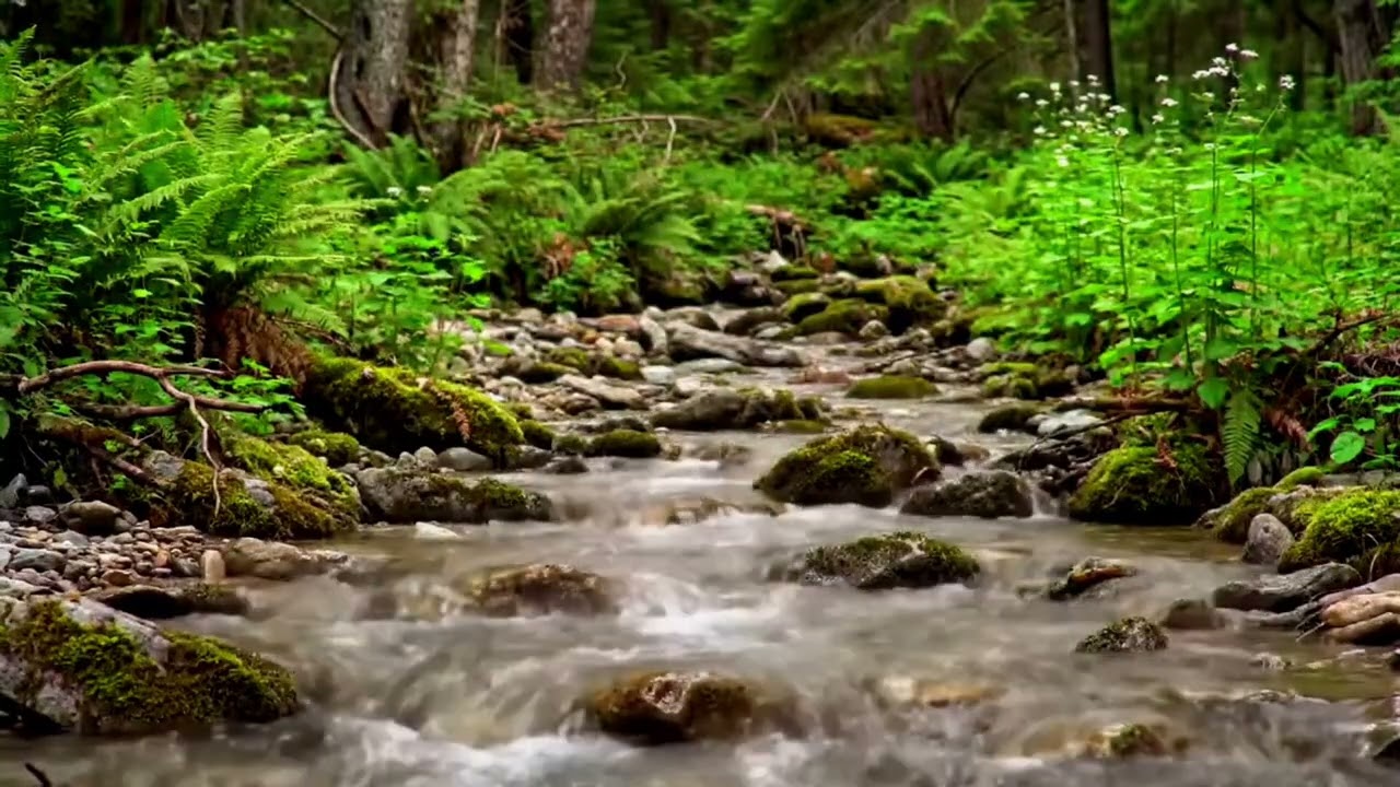 Calm River Water for Stress Relief
