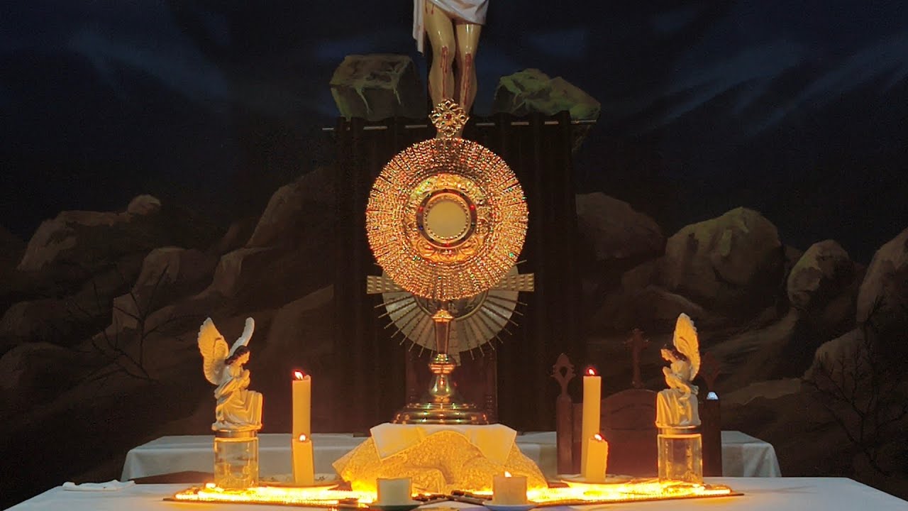 | HOLY EUCHARISTIC ADORATION | మహా దివ్య సప్రసాద ఆరాధన | 18-02-2026 | Wednesday | FR.N.DAVID RAJU |