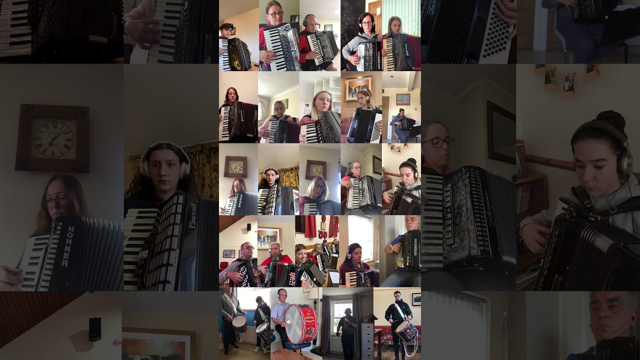 Brunswick Accordion - Galanthia